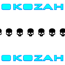 Load image into Gallery viewer, Skull pinstripe
