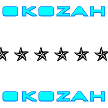 Load image into Gallery viewer, Okozah starfish pinstripe